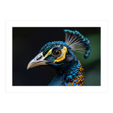 Close-up of a Peacock’s Head (Print Only) thumbnail