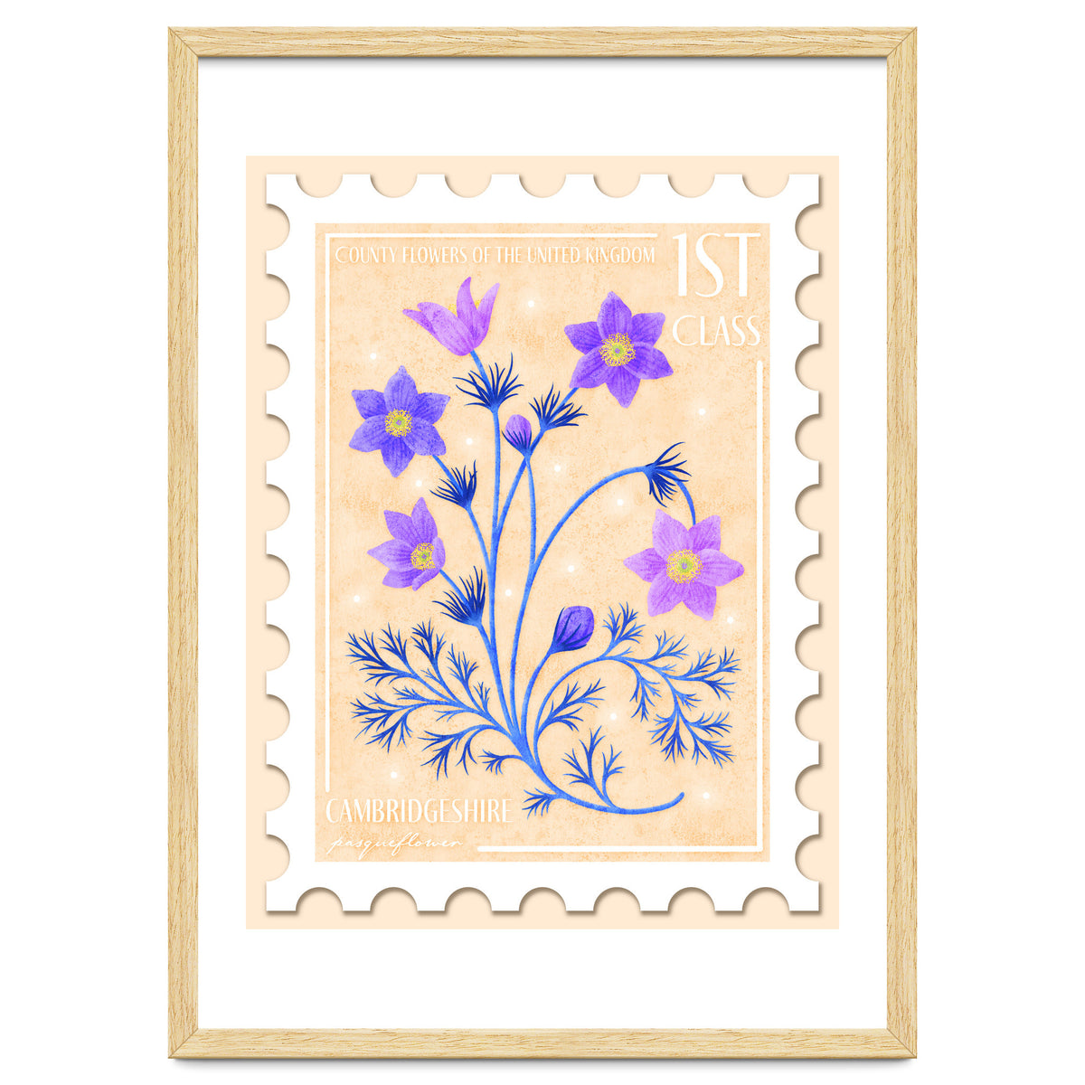 The Cambridgeshire Pasqueflower Postage Stamp