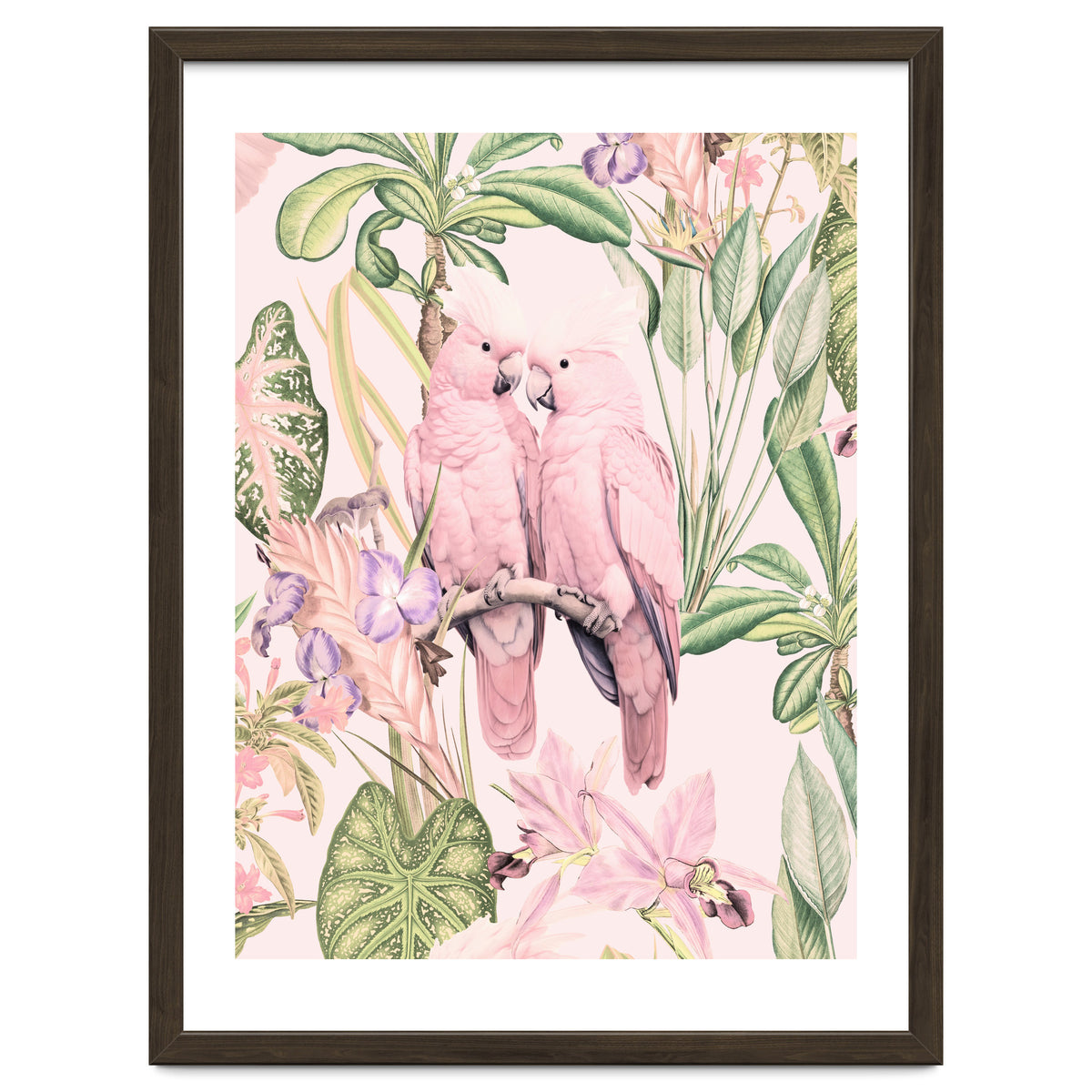 Pink Cockatoos in Love