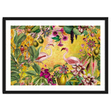 Flamingo Island thumbnail