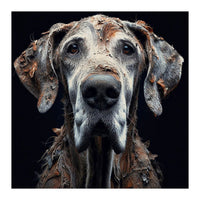 Old Dog 04 (Print Only)