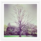 Tree Of Dreams thumbnail