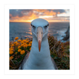 Albatross Bird With Intense Gaze By The Sea (Print Only) thumbnail