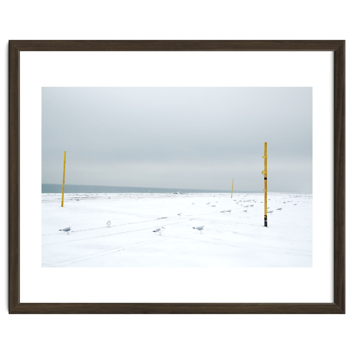 Seagulls in between the volleyball poles in winter snow beach