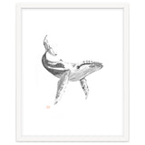 Whale thumbnail