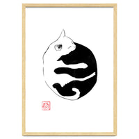 Ying yang Cat