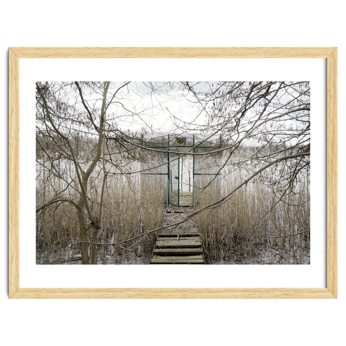 The gate to the lake