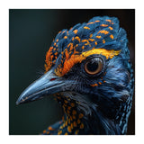 Close Up Of A Colorful Bird Head And Eye (Print Only) thumbnail
