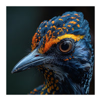 Close Up Of A Colorful Bird Head And Eye (Print Only)