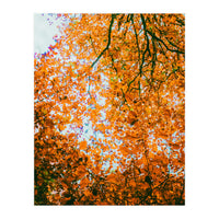 Autumn Leaves (Print Only)