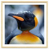 King Penguin In Falling Snow thumbnail