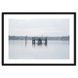 Birds rest in the Lake thumbnail