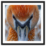 Close Up Of A Pelican's Beak With Water Droplets thumbnail