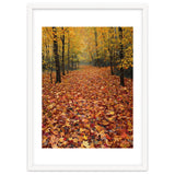Ethereal Autumn Forest Path thumbnail