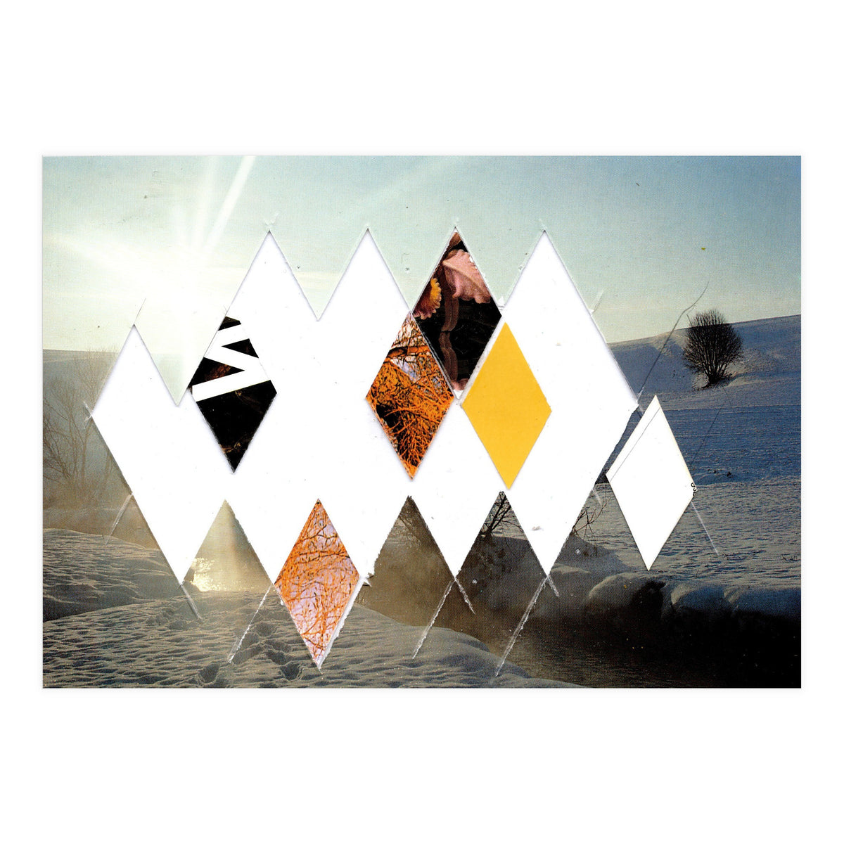 Fragmented · Botschaft Der Pappen??? · Winterimpressionlooklike (Print Only)