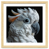 White Cockatoo Parrot With Orange Crest thumbnail