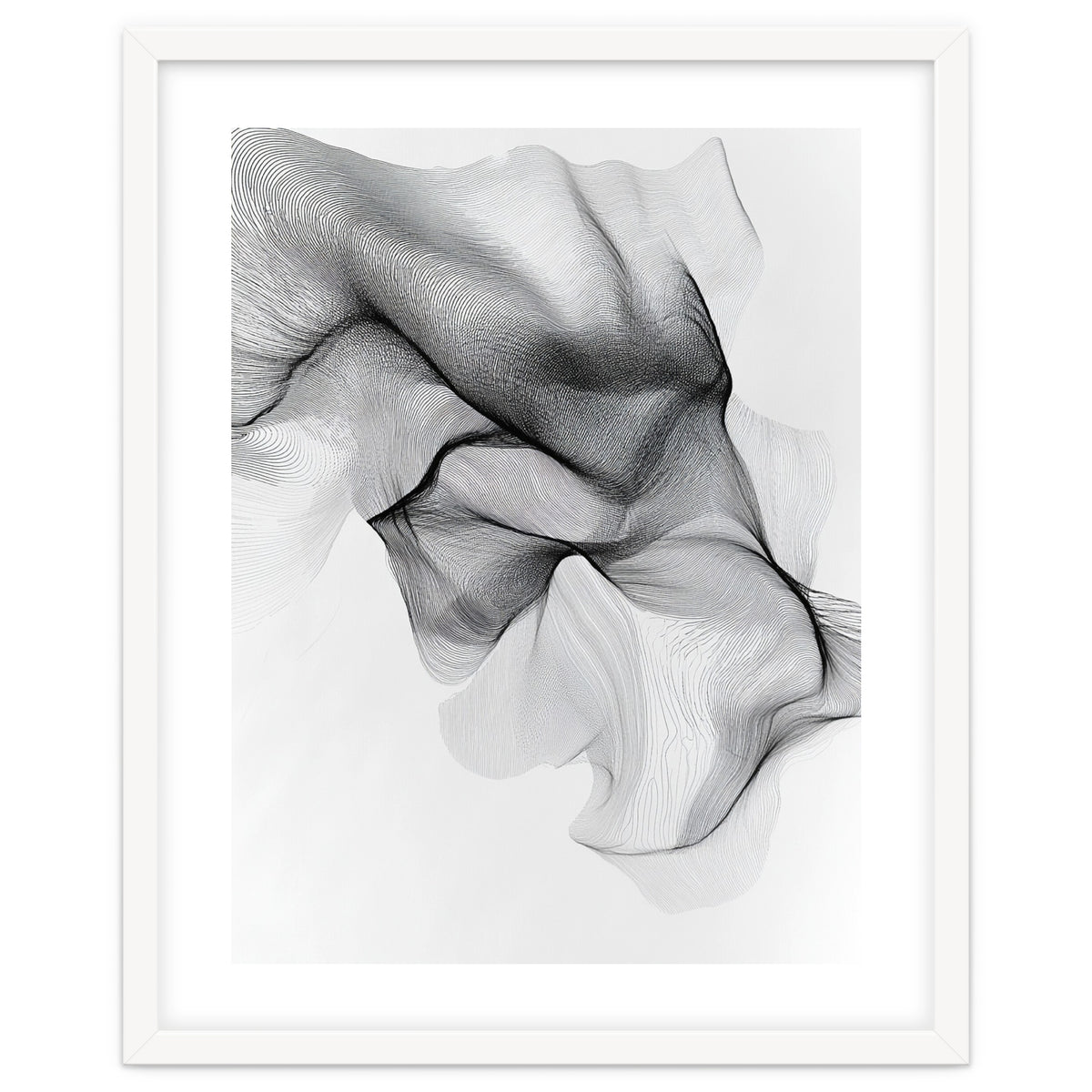 Abstract Black And White Flowing Lines Forming Organic Shapes And Forms