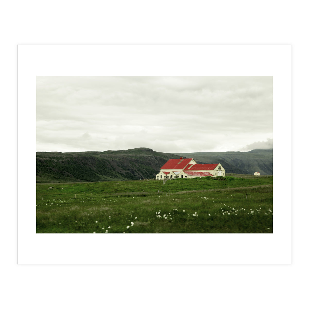 Red roof house in the greenfield - Iceland (Print Only)