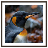 King Penguin In Rain With Water Drops thumbnail