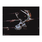 Deer Skull (Print Only) thumbnail
