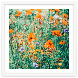 Eva | Nature Floral Meadow Garden | Photography Botanical Spring Bohemian Flowers thumbnail