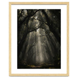 Enchanted Canopy: Mystical Forest Path thumbnail