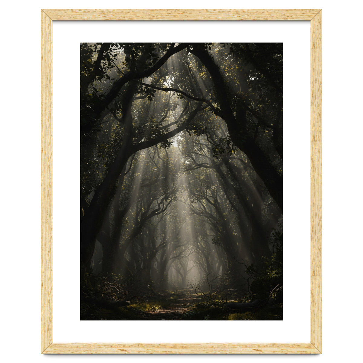 Enchanted Canopy: Mystical Forest Path