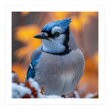 Blue Jay Bird In Winter Snowfall And Leaves (Print Only) thumbnail