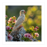Albino Parrot Perched On A Rock Amongst Flowers (Print Only) thumbnail