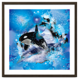 Orca thumbnail