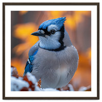 Blue Jay Bird In Winter Snowfall And Leaves