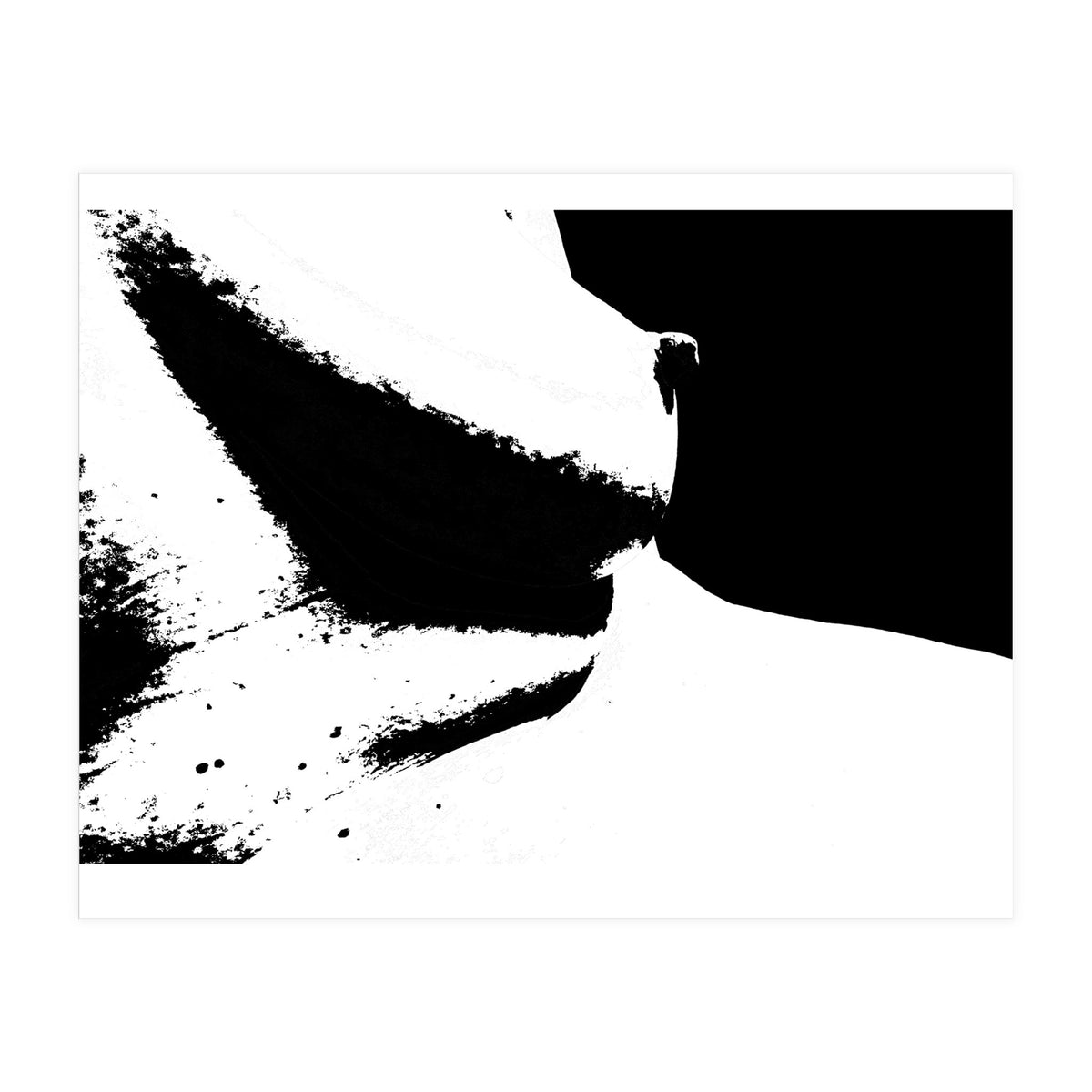 Black & White Study I (Print Only)