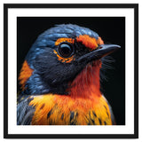 Vibrant Bird With Orange And Blue Plumage thumbnail