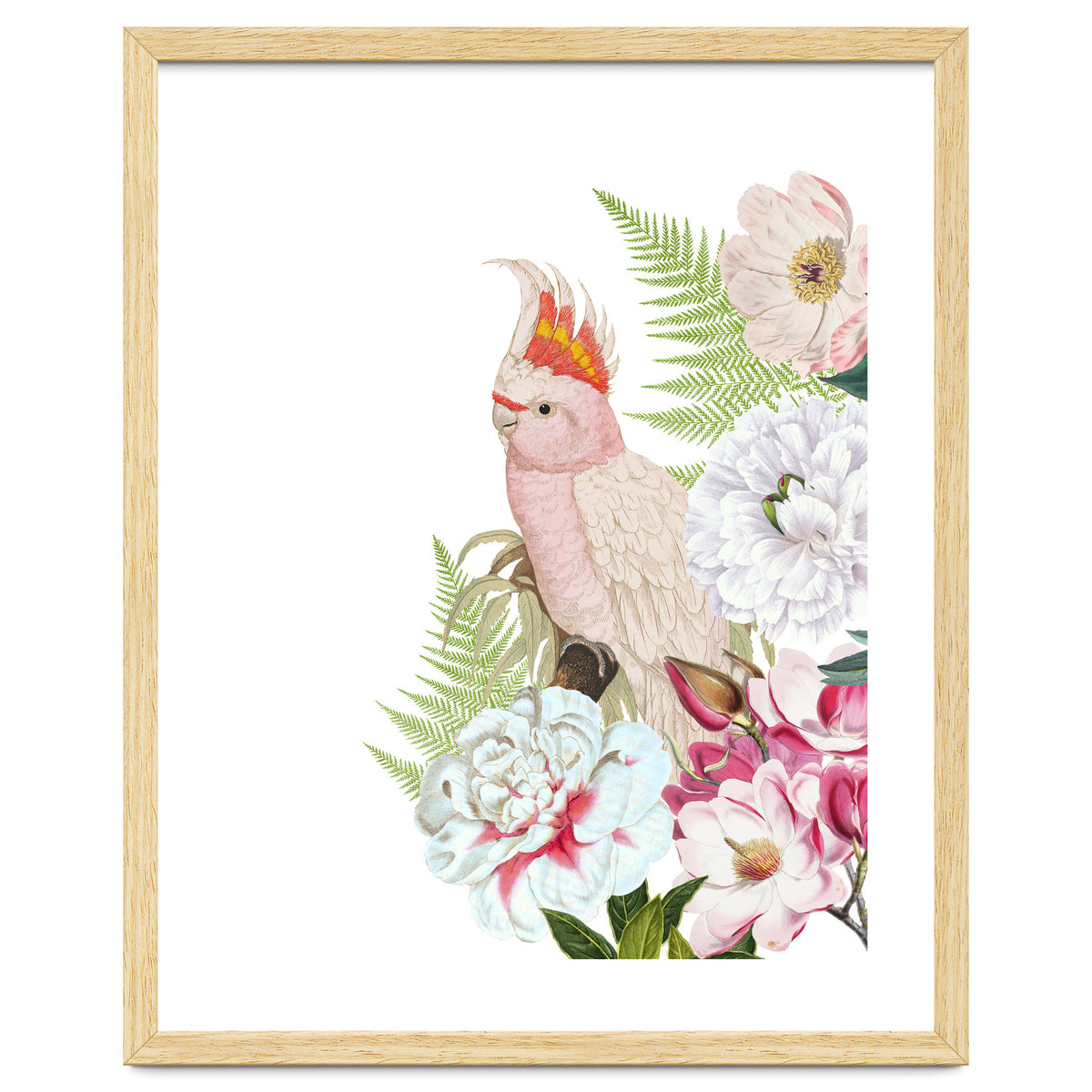 Cockatoo in Flower Jungle