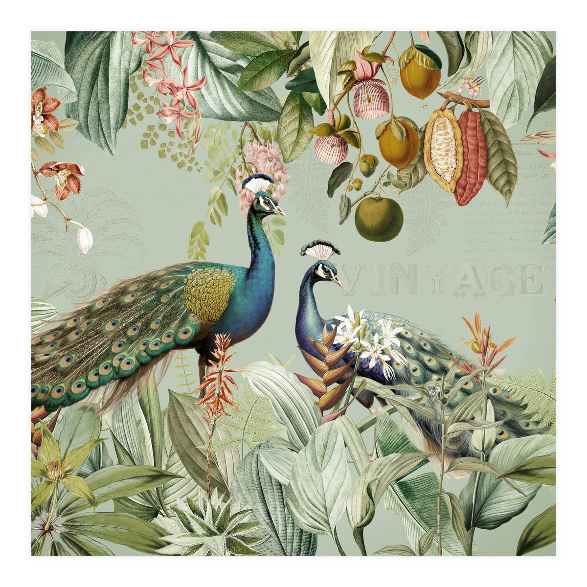 Vintage Exotic Asian Peacocks In Tropical Jungle Landscape (Print Only)