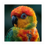 Sun Conure Parrot Close Up Eye  (Print Only) thumbnail