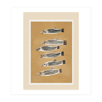 Minimal Fish Study (Print Only)