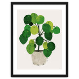 Pilea Plant thumbnail
