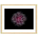 Backyard Flowers No 116 Color Flow Version thumbnail