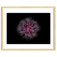 Backyard Flowers No 116 Color Flow Version