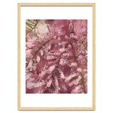 Pink Blossom thumbnail
