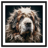 Old Dog 01 thumbnail