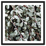 Rain #society6 #decor #buyart thumbnail