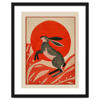 Hare And The Red Sun