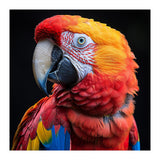 Scarlet Macaw Parrot Close Up Portrait Vivid Colors (Print Only) thumbnail
