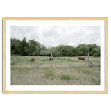 Cows in the farm thumbnail