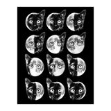 Cat Moon Phases (Print Only) thumbnail