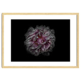 Backyard Flowers No 118 Color Version thumbnail