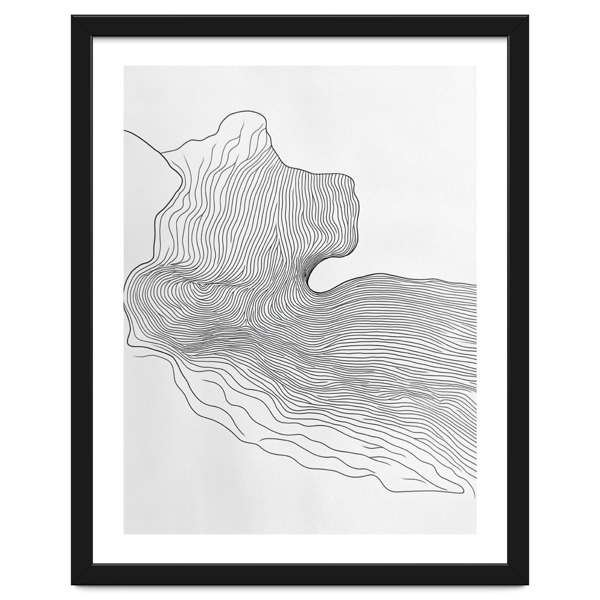 Abstract Black And White Organic Flowing Lines Pattern