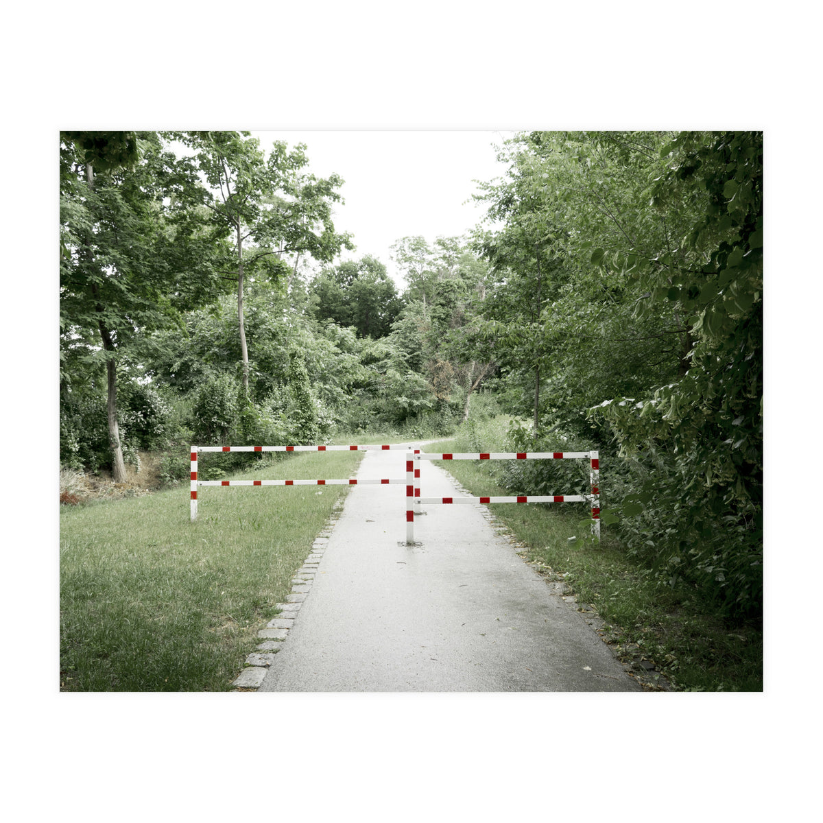 Entrance to the green park (Print Only)